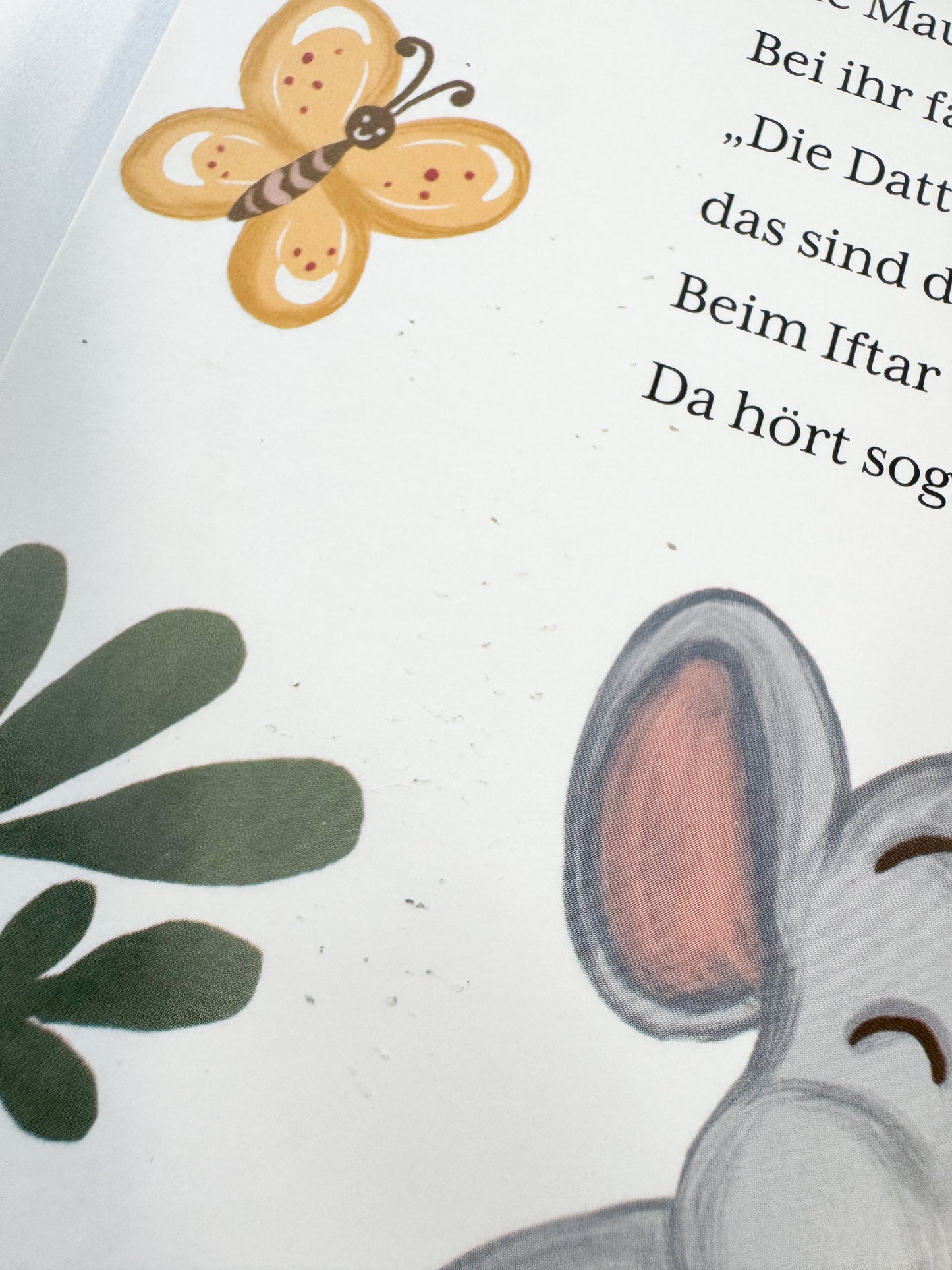 Das Wichtigste im Ramadan - B-Ware