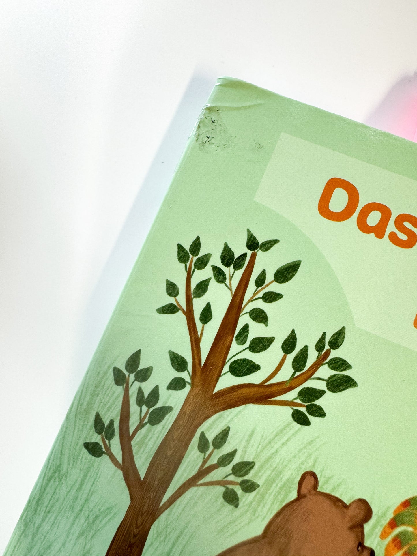 Das Wichtigste im Ramadan - B-Ware