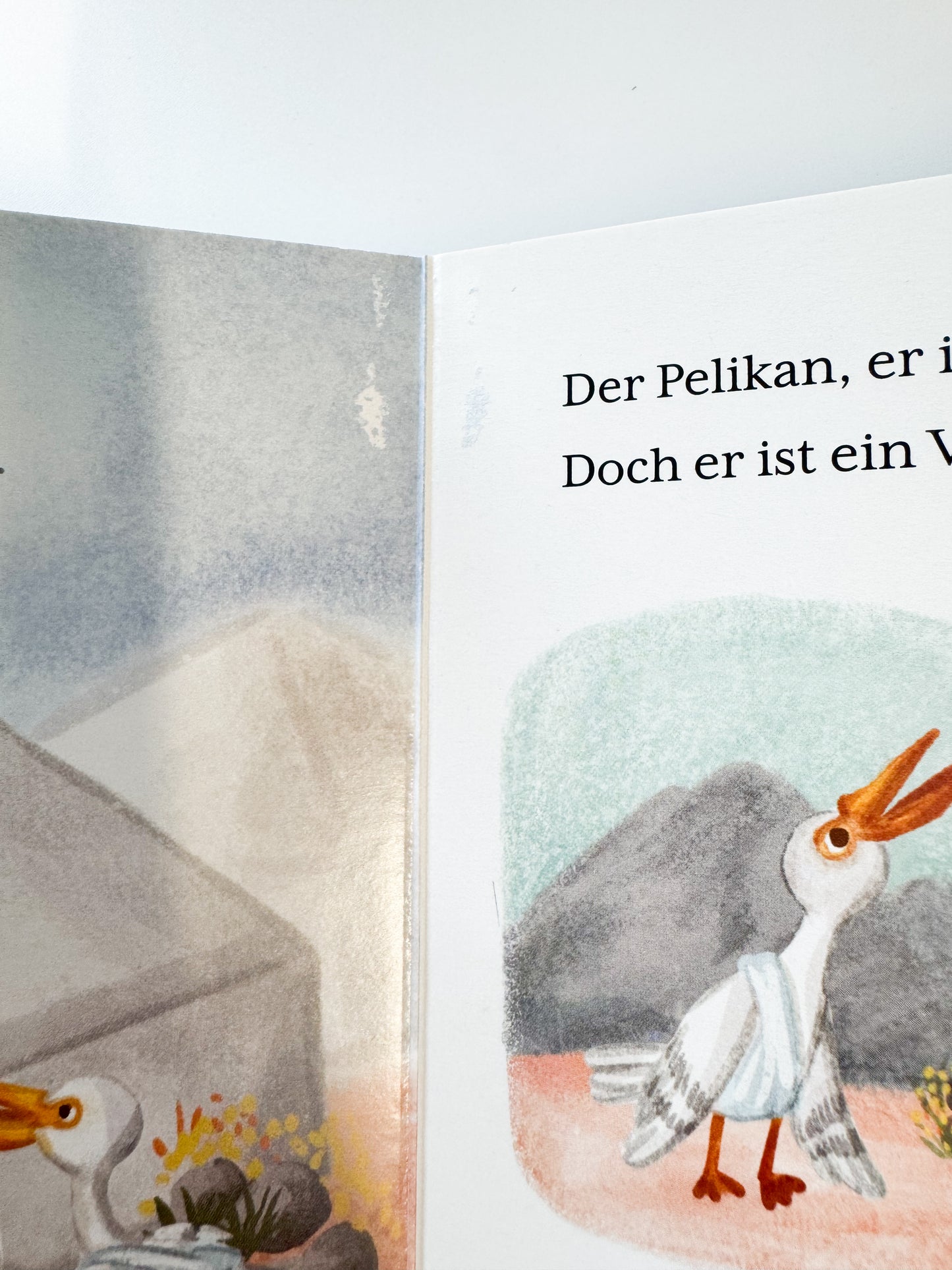 Die große Reise nach Mekka - B-Ware