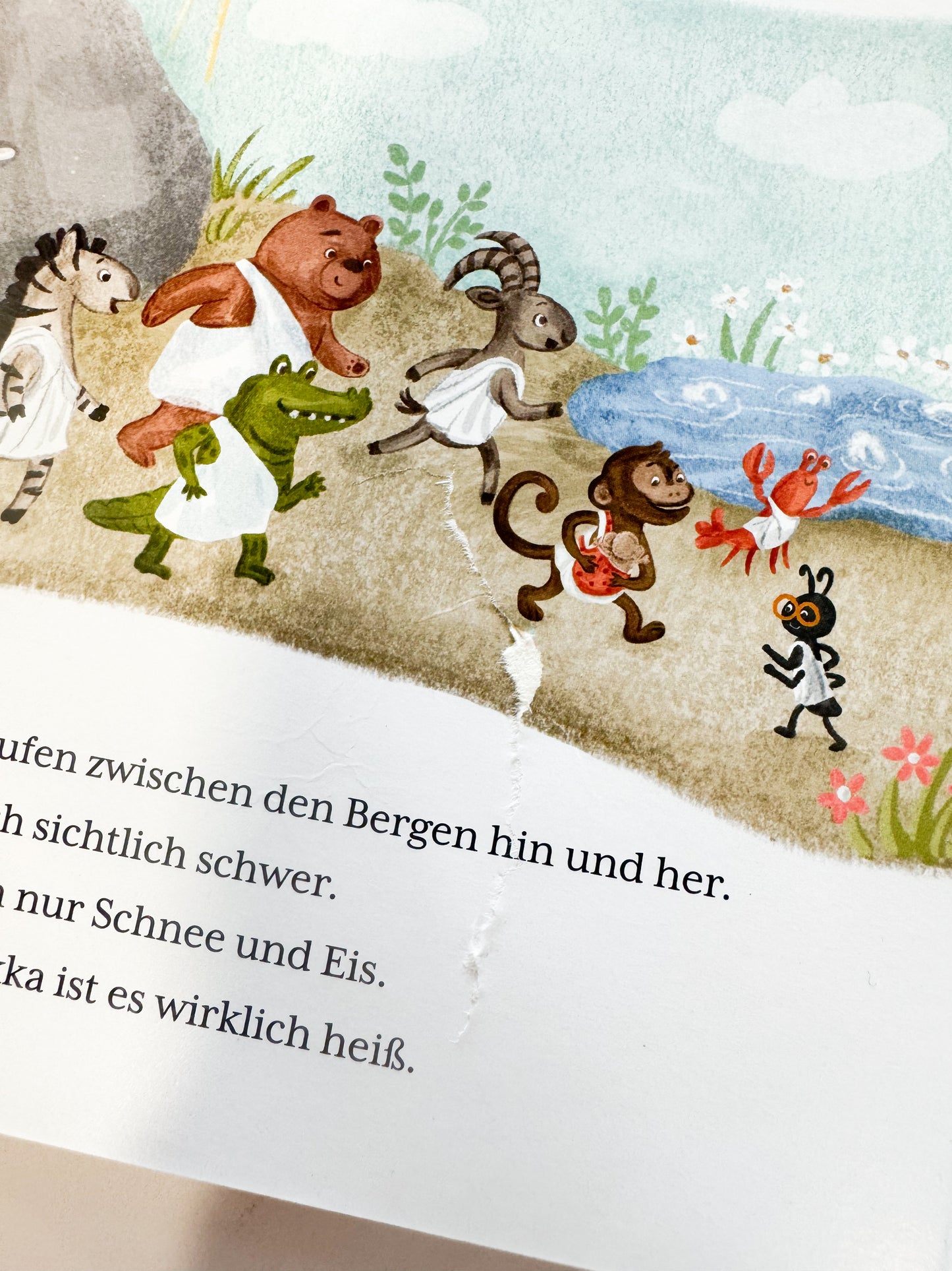 Die große Reise nach Mekka - B-Ware